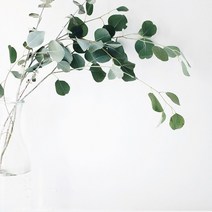 230926_0822 이슈 검색옵션 테스트, 300g, 1팩, 간장