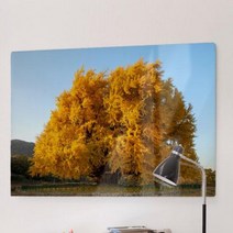 바보사랑 폼아크릴액자78CmX56Cm 원주반계리은행나무.꾸밈, 3.이미지3