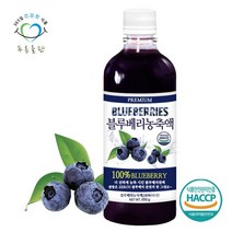푸른들판 미국산 블루베리 농축액 원액 주스 액기스 100% 불루베리 블루배리 진액 엑기스 액상 무설탕 에이드 쥬스 무첨가 수입 음료 베이스 해썹 인증, 1개, 650g