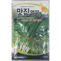 맛진열무 씨앗/엽수가 많아 수확량이 많고 부드러워 맛이 좋은 열무//가람종묘사