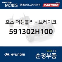 브레이크 부스터 호스(버큠호스) (591302H100) 아반떼HD 현대모비스부품몰