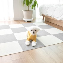 펫트리움 반려동물용 미끄럼방지매트 10입 애견매트, 모던그레이
