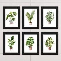 [바보사랑] 수채화식물_액자세트, 프레임/타입:화이트/2타입