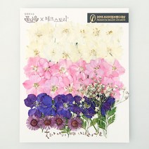 압화 꽃모음 - C타입 웨딩부케 꽃모음