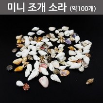 미니 조개 소라세트(약100개)-KTS