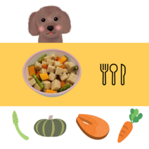 강아지 화식 습식 수제사료 연어 480g (60g*8)