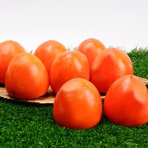 누리원 영암금정대봉감 고당도 달콤한 햇 대봉감 감중에 으뜸!, 1박스, 4.5kg  (19~21과)