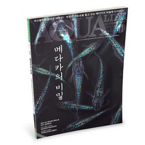 아쿠아라이프 2021년 11월호 _ 메다카의 비밀