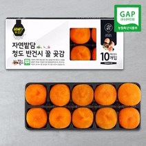 자연밭담 청도 반건시 10구 특상품 GAP인증 고당도 명품 실속 가정용 선물용, 1개