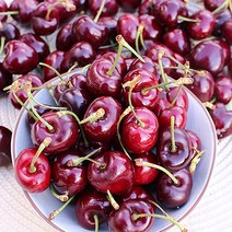 1등 과일 채리 체리제철 체리농장 생체리 1kg 2kg, 1박스