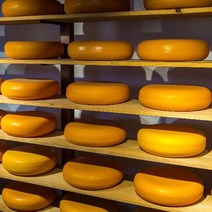 사그담 평창보배목장 저염구워먹는치즈100g, 단일옵션