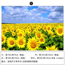 해바라기 벽지 스티커 장식 그림 배경 침실 거실 벽, AF_특대