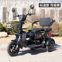 세발 전기 자전거 삼륜 배달 펫바이크 키트 미니 전동, 48V, 블랙 배터리30km