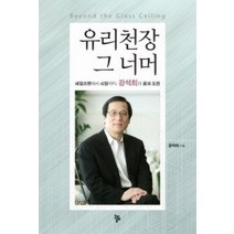 [개똥이네][중고-상] 유리천장 그 너머 Beyond The Glass Ceiling
