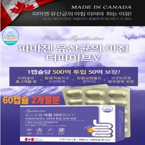 2개월분 캐나다직수입 프로바이오틱스 500억 식약처인증 17종 프리바이오틱스 프롤린 장용성캡슐 장까지도달 캐나다직수입