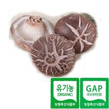 한그루 표고마을 유기농 생표고버섯(중급)1kg당 12 000원, 1box, 1~8kg