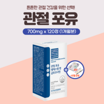 프리미엄 관절 영양제 MSM 엠에스엠 글루코사민 무릎 손가락 마디 어깨 에 좋은 손목 관절엔 연골 건강 엔 골다공증 도움 남성 여성 여자 예방 40대 50대 60대 갱년기 약1개월, 1개(120정)