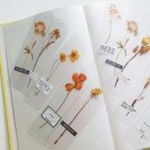 북마크 야생화 식물 꽃가지 고사리 책갈피 투명 스티커 감성 예쁜 선물 책갈피 북클립, 잎사귀