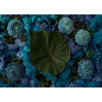 포토존 사진 배경 어린이 생일 아기 백일 테마 스튜디오 소품 강아지포토존, Seamless 90cmx60cm+17