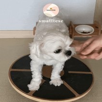 스몰티즈 강아지짐볼 운동기구 슬개골 탈구 예방 훈련용품 어질리티 근력 코어 운동, 상세페이지 참조