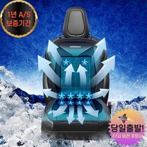 더쎈 차량용 뉴10팬 송풍시트 통풍시트 쿨시트 커버 바람방석 매트, 뉴10팬쿨링시트12v+220v어댑터+닦쓰봉1팩증정