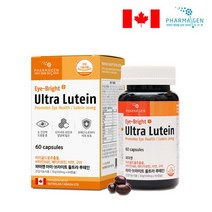 파마젠 아이브라이트 울트라 루테인 비타민A 비타민E 500mg x 60캡슐 2달치 눈건강 관리