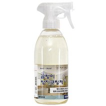 매직프로 안티몰드 프리미엄 항 곰팡이 방지 코팅제, 500ml, 1개
