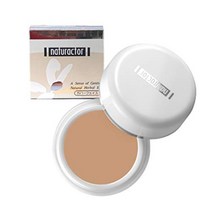 메이코 네츄렉터 내츄랙터 컨실러 파운데이션 파데 커버 MEIKO 20g, 20그램 (x1)개, 4.151 건강한황토