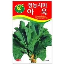 아욱/근대 씨앗 택1 (치마아욱 백경근대) 씨앗심기 아욱키우기, 치마아욱 4000립