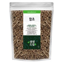 함초 퉁퉁마디 300g 국산 국내산, 단품