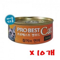 프로베스트 캣푸드 캔 80g(참치와연어) 10개 고양이캔, 1