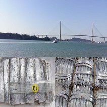 갈치 튀김용 10마리 1 kg 국내산, 1kg