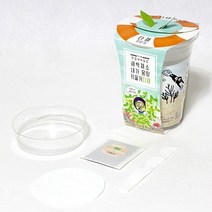 틔움세상 화분재배키트 한컵새싹농장 새싹채소 키우기, 다채