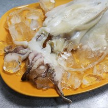 아이홈푸드 [바다의행복] 국내산 반건조 갑오징어 (중) 1팩, 단일옵션