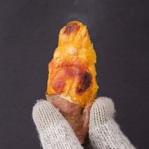 [착한식탁] 22년 수확 해남 햇 꿀밤고구마 10kg 못난이