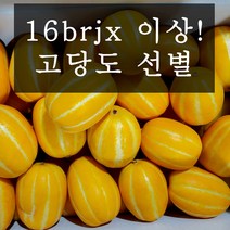 고당도 선별 성주 꿀참외, 정품 5kg, 중과 (20개 내)