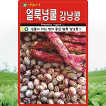 얼룩넝쿨강낭콩 씨앗 넝쿨강낭콩 씨 종자 30g, 단품