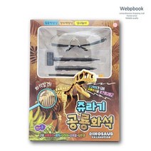 공룡 화석 발굴 키트 고고학자 뼈 과학 공룡피규어 비행기 장난감 교구 완구 학습, 쥬라기 공룡 화석 발굴키트