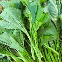 [농협] 한아름드린 아욱 1kg, 없음