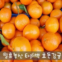 새콤달콤 고당도 효돈감귤(타이벡) 5kg - 주문당일선별발송, 5kg 중간귤