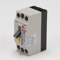 누전차단기TCE 32AH태성 2P 30A 2.5KA 5개