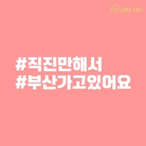 라인컷 직진만해서 부산가고있어요 초보운전 데칼 해시태크 스티커 STLT-002, 빨강