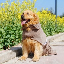 텔리 입으면 마르는 반려동물 드라이 가운, 반려동물가운 그레이