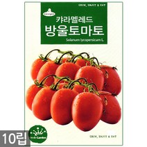 서리태 씨앗 30g - 콩 씨 청약콩 검은콩 쥐눈이콩 서리태씨앗 콩 검정콩씨앗 검은콩씨앗 콩씨앗 서리태씨 검은콩씨 주말농장 텃밭, 10_캬라멜레드방울토마토(10립)
