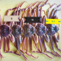 고급 국산대게, 5마리, 360-420g