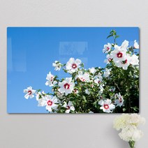 te366-폼아크릴액자58CmX38Cm_하늘아래무궁화, 2.분홍색