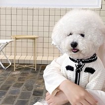 강이지옷 따뜻한 겨울 중형 소형 니트 럭셔리 디자이너 쥬얼리 새끼 코트 푸들, 3.White - M