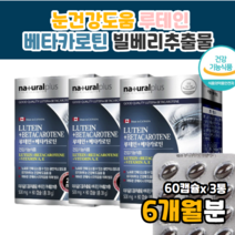 눈 영양제 루테인 루테린 50대 60대 70대 눈 관리 효과 효능 먹는법 복용법