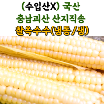 산지직송 충북 괴산 대학 찰 옥수수 냉동옥수수 생옥수수 삶은옥수수, 냉동_삶은찰옥수수_300g 이하 17cm이하(3입), 3팩