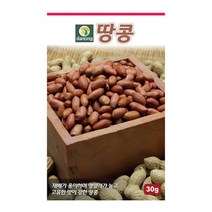 [다농] 땅콩씨앗 600g[NV], 상세 설명 참조